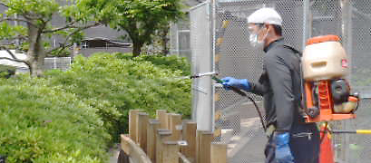 庭木の消毒、害虫対策 庭木の消毒、害虫対策