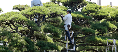 植木・剪定 植木・剪定